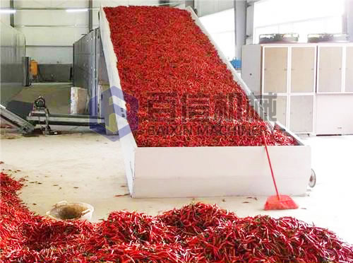 辣椒烘干現場展示